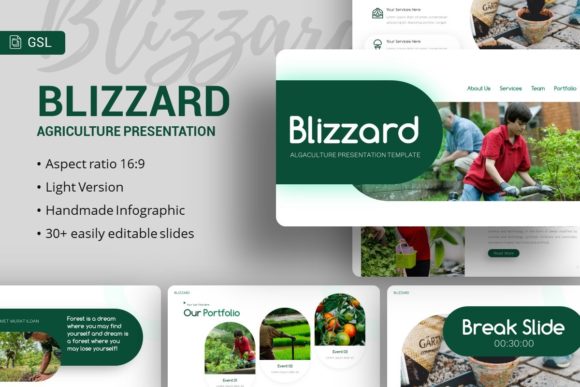 Google Slides Template - Blizzard: A Versatile Design Resource
